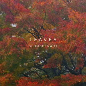 Leaves EP