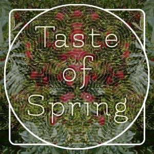 Taste of Spring (Edit) EP